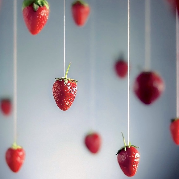 Meet your Posher, Jules - Picture 1 of 1